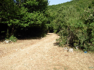 Strada che porta al rifuggio di Canale