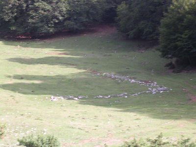 Resti del Convento Benedettino