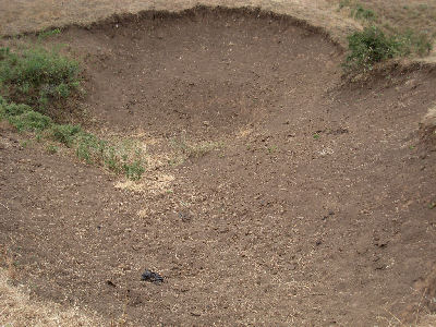 Prima Dolina