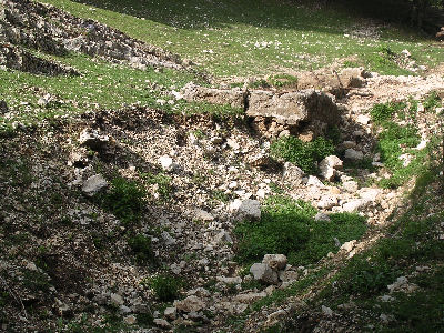 Ruderi