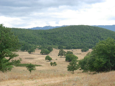 Tristere visto dall'alto