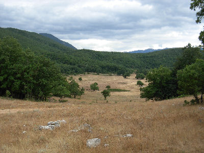 Tristere visto da Narciprete